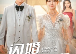 【闪婚小娇妻】102集短剧免费全集赏看