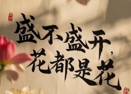 【盛不盛开，花都是花】30集短剧免费畅享观看