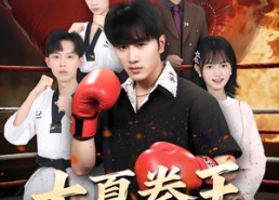 【大夏拳王】80集短剧全集免费赏看