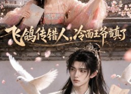 【飞鸽传错人，冷面王爷当真了】33集短剧全集在线播放