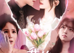 【我的奇葩同事】57集免费短剧在线全赏