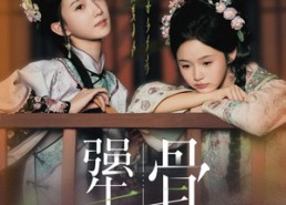 【犟骨】44集高清短剧在线轻松看