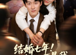 【结婚七年！你说老公不是我】62集短剧全集免费畅享在线看