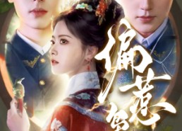 【偏惹枭雄】82集短剧免费在线全集看