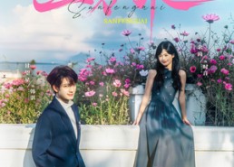 【三分乖】65集短剧全集免费在线观赏