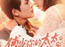 【傅少，你的太太是只猫】64集短剧免费在线观看全集