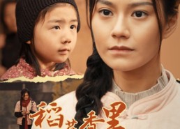 【稻花香里说丰年】60集在线短剧完整观看