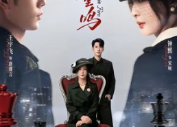 【焚羽重鸣】60集全网热播短剧在线看