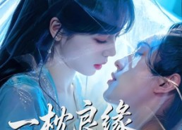 【一枕良缘，将军府的绝代双丫鬟】77集短剧免费全集赏映