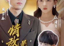 【情敌原来是夫人】66集免费在线短剧全览