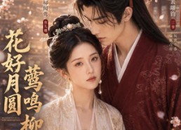 【花好月圆莺鸣柳下】90集精彩短剧免费在线观看