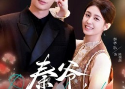 【秦爷，扎个针】85集热门短剧免费高清观看