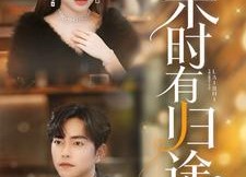 【来时有归途】97集短剧免费高清观看