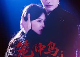 【笼中鸟，烬中生】60集短剧免费在线全览观看