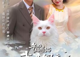 【午夜缅因猫我的饲主竟是命中注定】66集短剧免费高清在线看