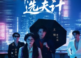 【南太太选夫记】76集短剧在线免费畅享看