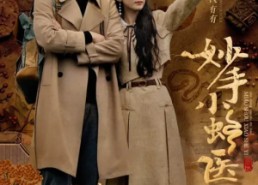 【妙手小蛇医】12集短剧在线免费极速看