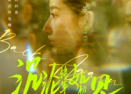 【沉沦锦年如初见】79集在线免费短剧全集看