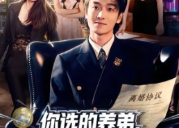 【你选的养弟，我离婚你又后悔什么】80集短剧全集免费畅看