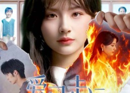 【爱已走远】60集短剧免费全集观享