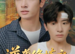 【逆袭修炼之我的傻婿人生开挂了】65集短剧在线免费畅看全集