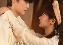 【因为遇见你】79集短剧全集在线免费观赏