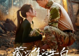 【藏不住的告白】27集短剧免费在线完整观看