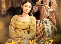 【苗苗救妈妈】55集短剧免费全集赏