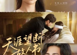 【天涯望断故人书】60集短剧完整免费在线观