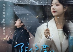 【陪你荡入爱河】66集短剧在线高清全集观