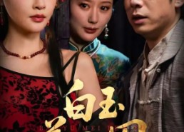 【白玉美人图】65集在线短剧免费畅看