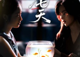 【第七天】48集免费短剧全集高清在线观