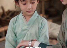 【抬错花轿，尚书娇女配屠夫】45集短剧免费全集直看
