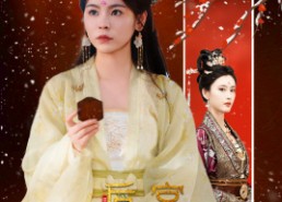 【后宫风云录】69集网盘短剧免费看