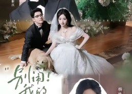 【别闹！我的钟秘书】84集短剧全集免费畅享观看