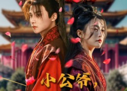 【小公爷夫人回来救全族了】100集短剧在线免费瞧看