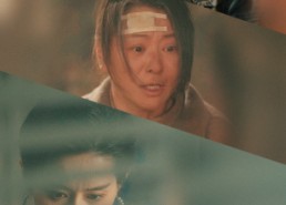 【谁言寸草心】79集短剧在线免费观览