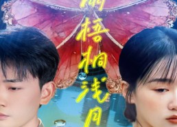 【疏雨梧桐浅月朦胧】50集短剧免费全集在线品看