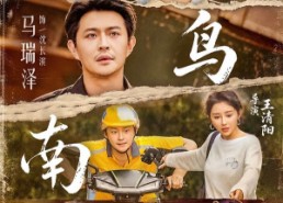 【候鸟南渡】75集优质短剧免费在线观