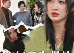 【宝妈天生犟骨】32集免费短剧全集览看