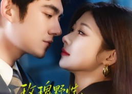 【玫瑰野性，太子爷他甘愿上钩】82集短剧免费畅享观看