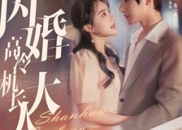 【机长先生，听我指挥】92集短剧免费畅享观看