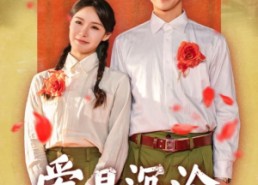 【爱是沉沦亦是自由】67集短剧免费高清在线看