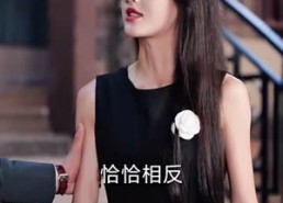 【温情难再续】59集在线畅享短剧全集