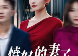 【愤怒的妻子】30集全集短剧在线免费观看