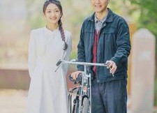 【似火流年】100集短剧免费畅快观映