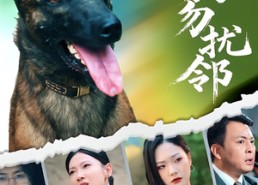 【养狗勿扰邻】31集在线免费短剧全集观看