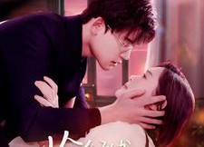 【恰逢承书听雨时】80集短剧免费高清在线看