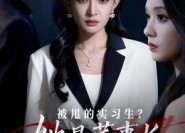 【被甩的实习生？她是董事长！】59集高清短剧在线免费看