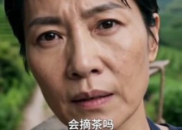 【新芽】55集精彩短剧免费即点即看